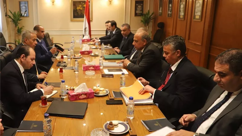 وزير قطاع الأعمال يبحث مع وزير القوى العاملة تعزيز التعاون في ملفات مشتركة
