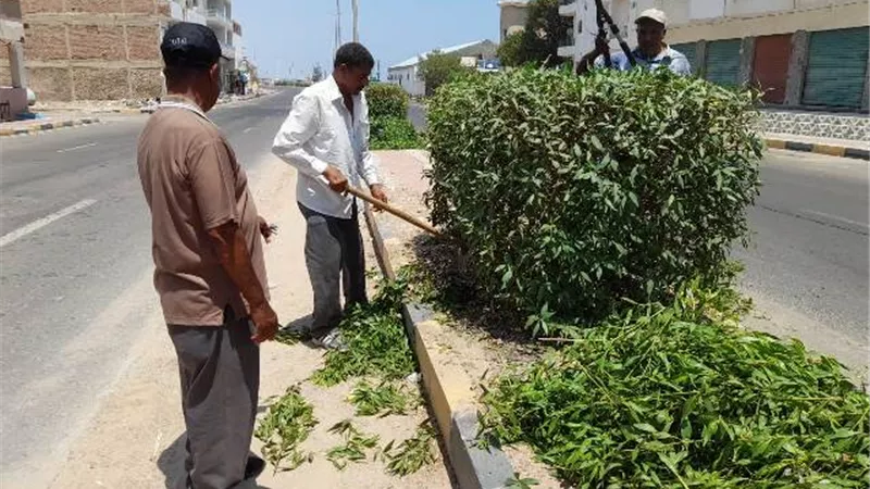 حملة لتجميل وتهذيب أشجار حدائق مدينة سفاجا