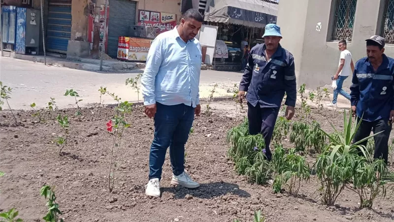 استمرار فعاليات مبادرة زراعة 100 مليون شجرة وحملات تشجير مكبرة بكفر الشيخ
