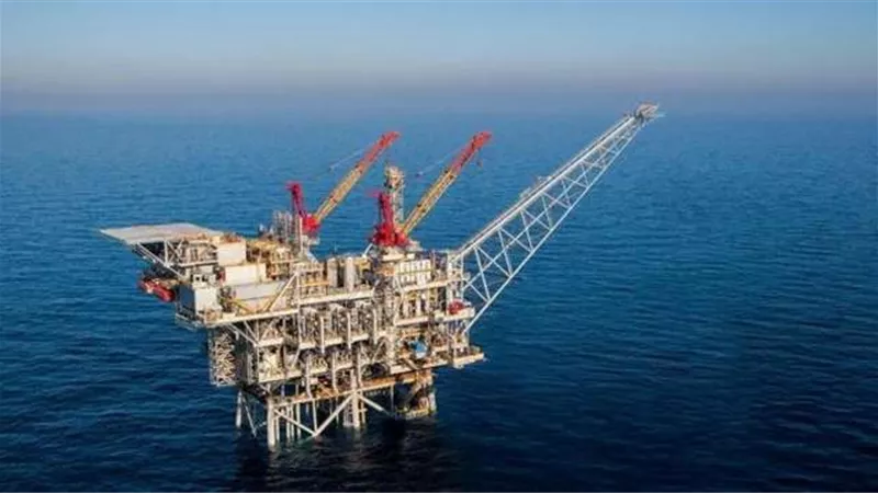 بالإنفوجراف.. مشروع تنمية حقول شمال الإسكندرية وغرب دلتا النيل