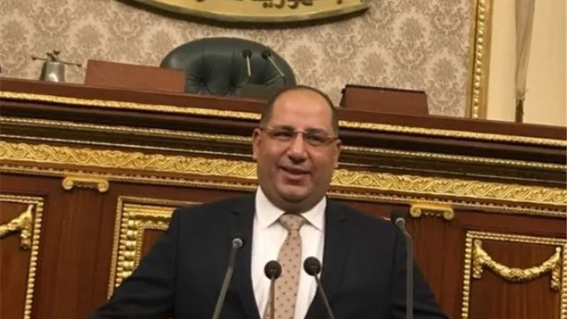 النائب أحمد نويصر : الدولة تتحمل أعباء باهظة لدعم المواطنين وتوفير الحماية الاجتماعية