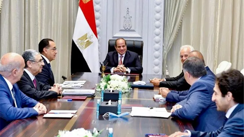 الرئيس يستعرض تنفيذ مشروع لإنتاج الكهرباء ونقلها الى اوروبا