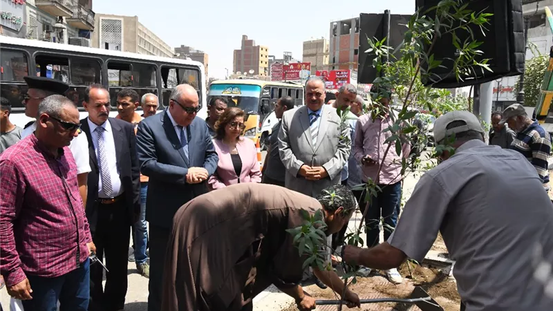 مستقبل وطن بقنا: زراعة 4700 شجرة ضمن مبادرة زراعة 100 مليون شجرة