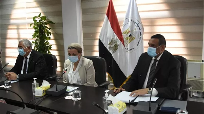 هشام أمنة: مصانع بالمحافظات لتحويل قش الأرز إلى ألواح خشبية