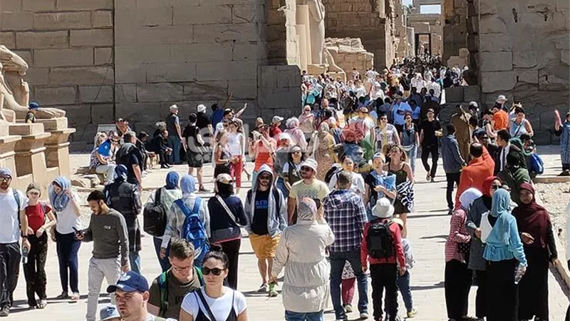 غادة شلبي: ننتظر تحقيق موسم سياحي إيجابي في الشتاء