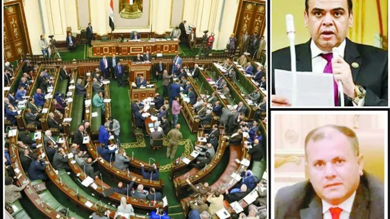 النواب: تكثف حملات تحليل المخدرات على سائقى الاجرة
