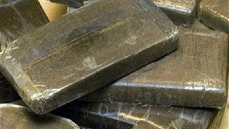 ضبط 100 فرش حشيش بحوزة مسجل خطر