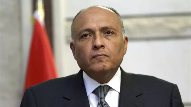 شكري يستعرض رؤية الرئاسة المصرية لمؤتمر COP27 لتعزيز عمل المناخ