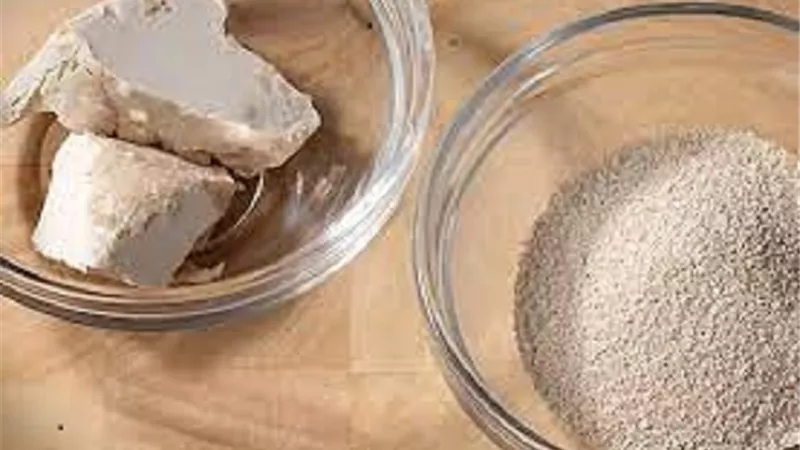 تعرف على الفرق بين الخميرة الفورية وخميرة البيرة