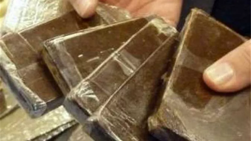 ضبط عاطل وسيدتين بـ12 طربة حشيش و1200 جرام شابو بسوهاج
