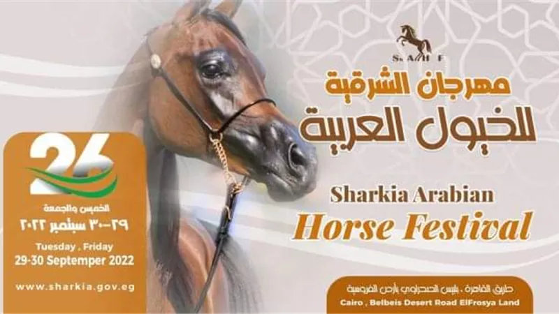 محافظ الشرقية يُعلن إنطلاق فعاليات مهرجان الشرقية للخيول العربية