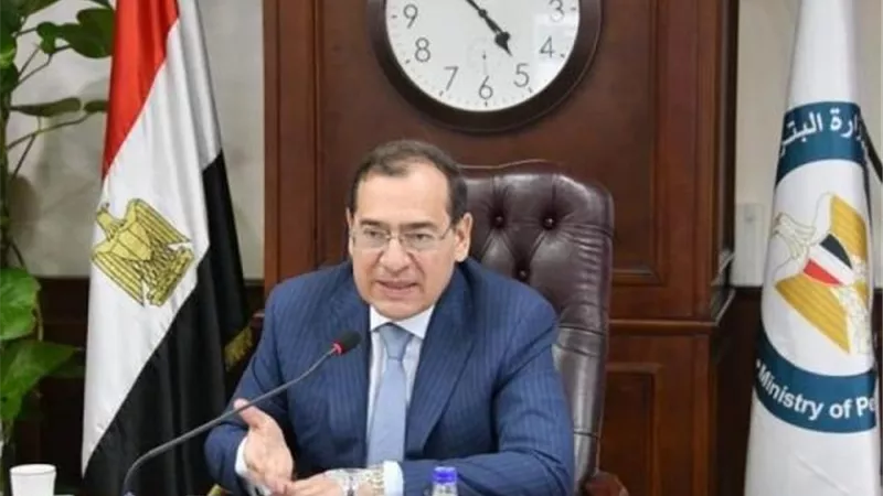 مصر والهند تبحثان فرص التعاون في صناعة البترول