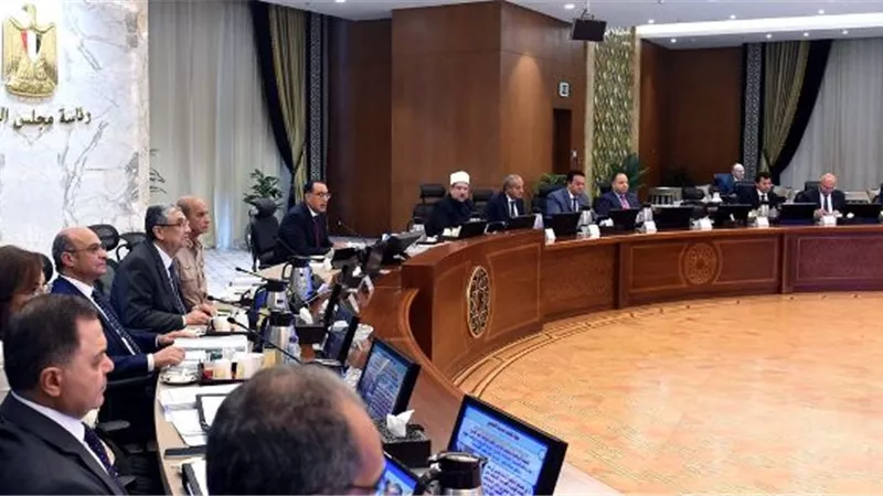 الحكومة توافق على إقامة مشروع يعمل بنظام المناطق الحرة الخاصة بالمنيا