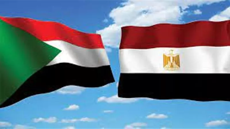 ترحيب سوداني واسع النطاق بالدعم المصري بعد أزمة السيول.. فيديو