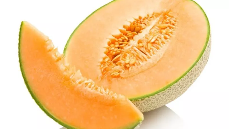 الفوائد الصحية والحقائق الغذائية للشمام.. تعرف عليها