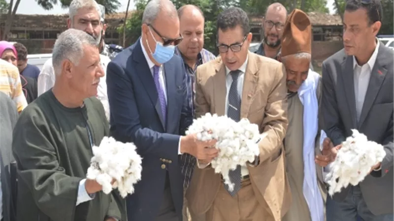 محافظ القليوبية يشهد جني محصول القطن بأحد الحقول بمدينة بنها
