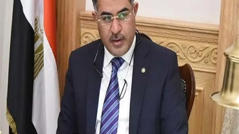 النائب سليمان وهدان يطالب بالتصدى لحملات التشكيك