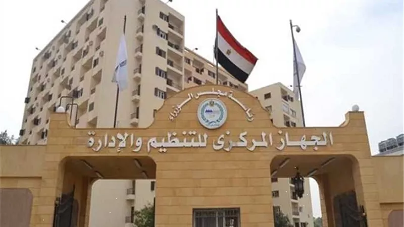 التنظيم والادارة يصدر القواعد التنفيذية بشأن ترقيات الموظفين