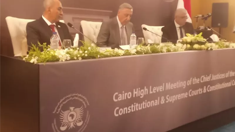 المستشار بولس: حريصون على حماية حرية الصحافة وتعزيز التعاون الأفريقى