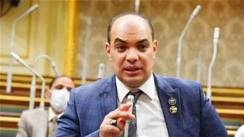 علاء قريطم: إطلاق السجناء يتماشى مع قيم الجمهورية الجديدة