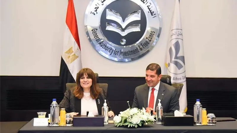 إنشاء شركة مساهمة للمصريين بالخارج.. وطرح أسهم لهم بالمشروعات القومية