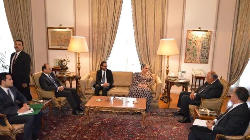 شكري يؤكد موقف مصر الثابت والمتمسك بضرورة التوصل لاتفاق شامل حول سد النهضة