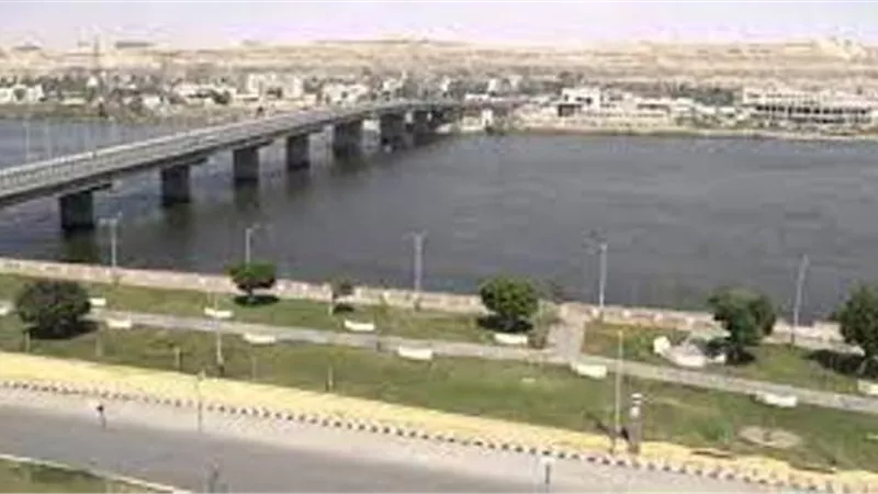 استمرار مبادرة ١٠٠ مليون شجرة في المنيا
