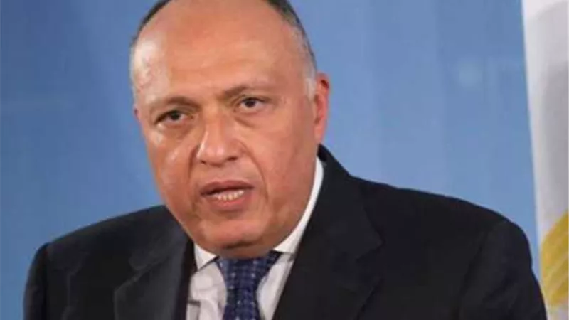 شكري يؤكد على تقدير مصر لدور الهند الهام في مفاوضات تغير المناخ
