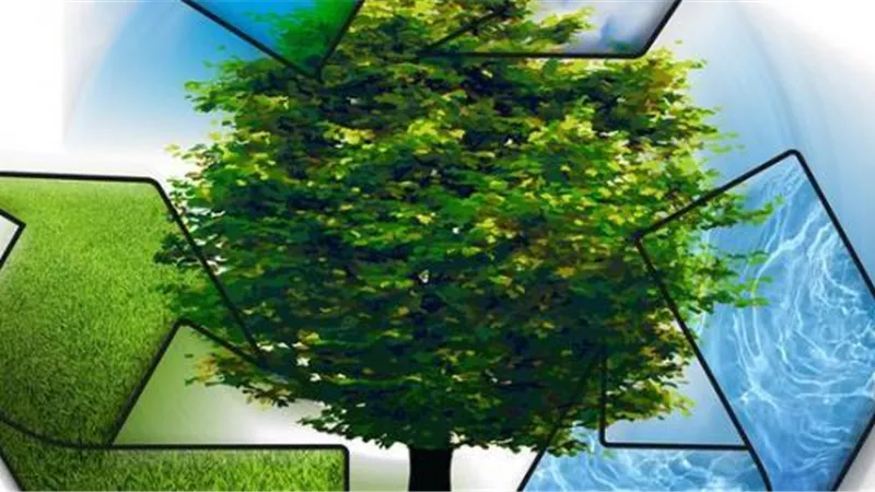 حفاظ الإسلام على البيئة في محاضرة بثقافة السويس