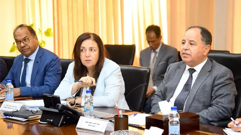 الهجرة: شركة مساهمة للمصريين بالخارج لتعظيم دورهم في تعزيز الاستثمار