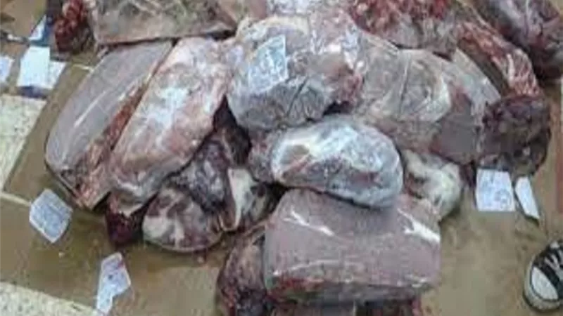 التموين: ضبط 1653 قضية متنوعة خلال 24 ساعة