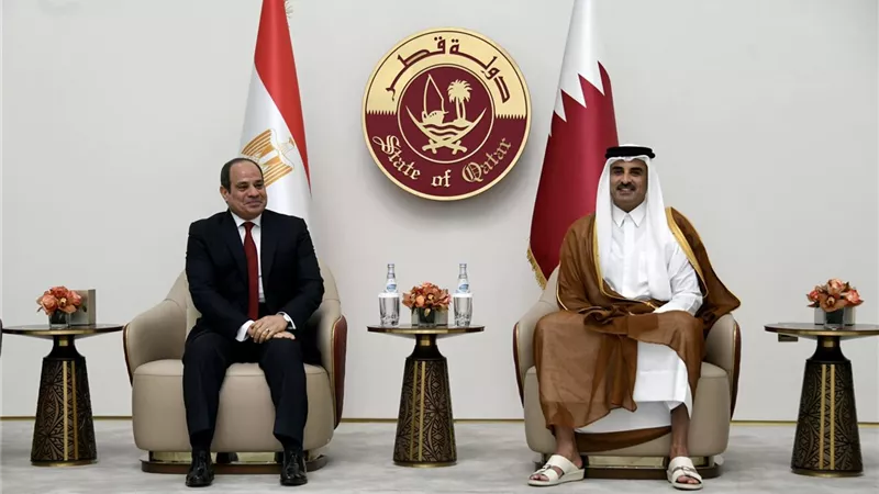 متحدث رئاسة الجمهورية: قمة ثنائية غدا بين الرئيس السيسي والأمير تميم في الدوحة