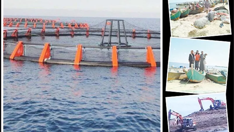 بعد سنوات من الإهمال.. تحقق الحلم وعادت الحياة إلي بحيراتنا المائية