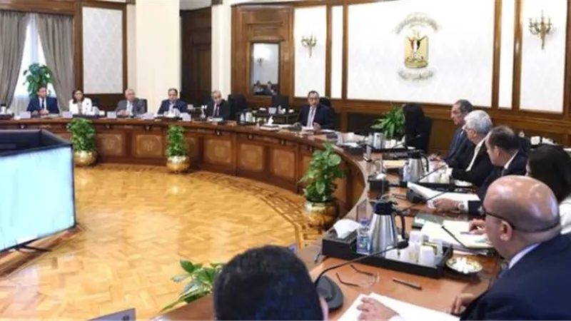 مصر تستعد لإطلاق الاستراتيجية الوطنية للملكية الفكرية