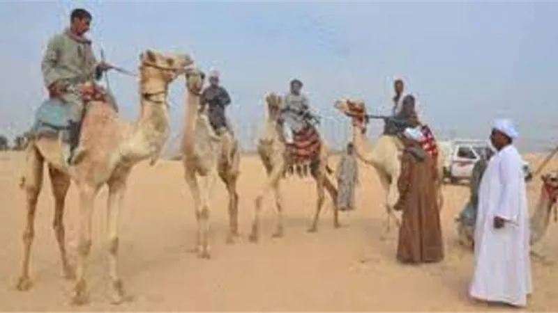 ايهاب بيتا: سباق الهجن يميز تاريخ سيناء .. ويشهد على الطفرة التى حدثت بالمحافظة