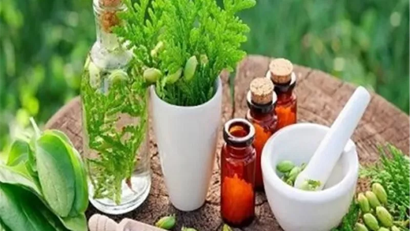 6 أعشاب لتنشيط الذاكرة وعلاج النسيان
