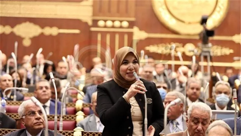 دينا هلالي: إطلاق فرص استثمارية للمصريين بالخارج يعزز ربطهم بالوطن الأ