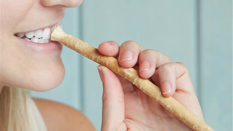 4 آداب يجب مراعاتها عند استخدام السواك