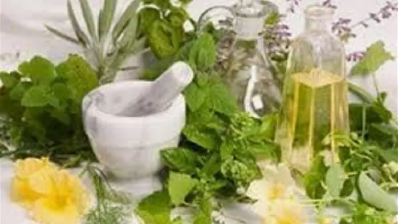 6 أعشاب لتنشيط الذاكرة .. إنفوجراف