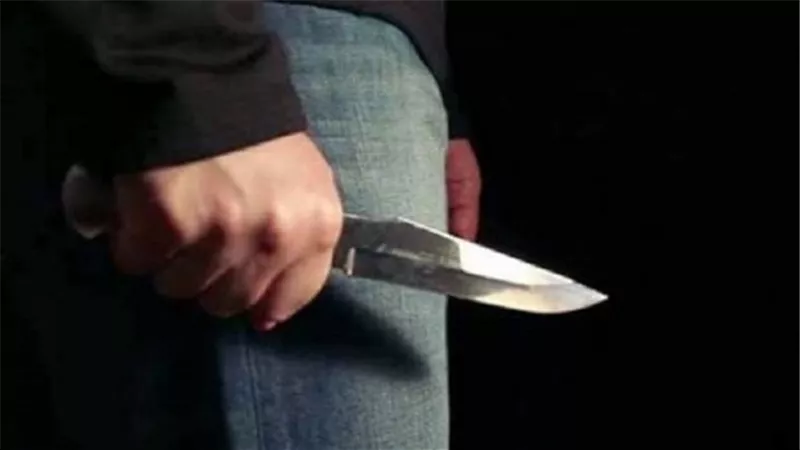 معاكسة الفتيات فى الحوامدية.. تدفع عامل لقتل خالة
