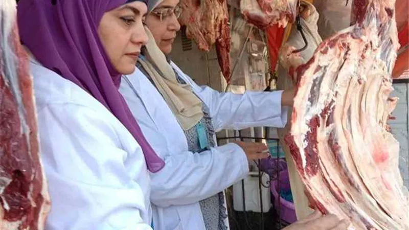 حملات تفتيشية ورقابية على المجازر والمخابز بمنيا القمح