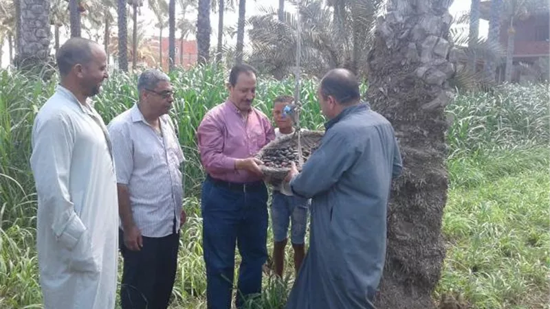 «الزراعة» تستعرض ملخصا بأنشطة «المركزي للنخيل»