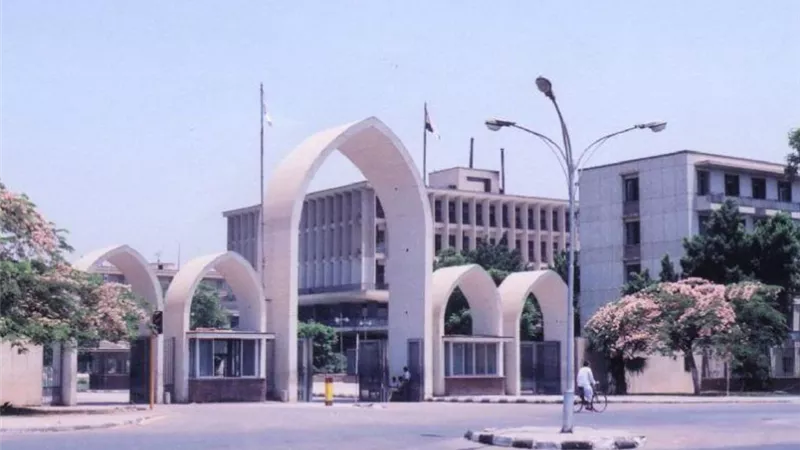 جامعة الوادي الجديد: فرص علمية للحصول على بكالوريوس التجارة المهني