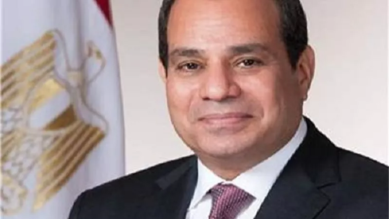 مدير منظمة العمل العربية: السيسي أعاد مصر لثقلها العربي والدولي