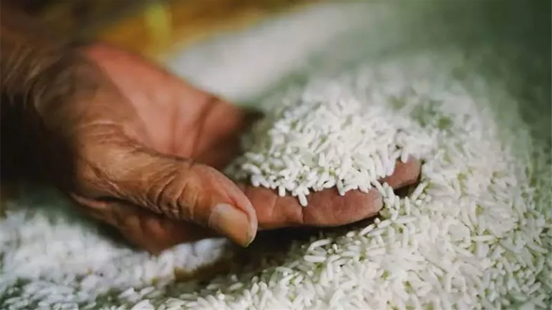 التموين: تخفيض سعر أرز القطاع الخاص لـ ١٤.٧٥ بدلا من ١٨ جنيها