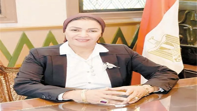 النائبة ألفت المزلاوي تطالب بتسهيل استيراد اعلاف الدواجن