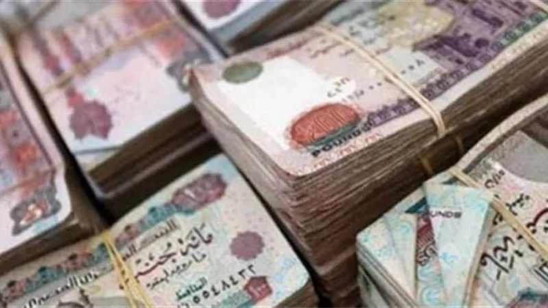«المالية»: الأربعاء.. بدء صرف مرتبات العاملين بالدولة
