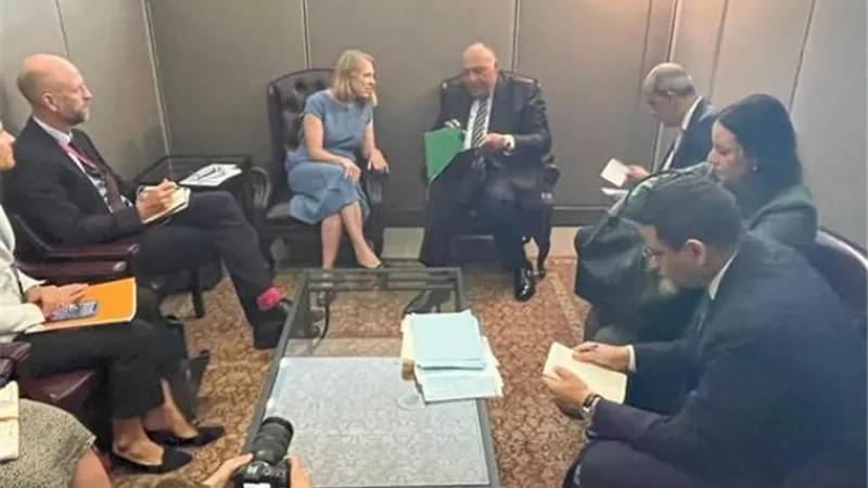 شكري يستهل زيارته لنيويورك بلقاء وزيري خارجية النرويج ومالطا