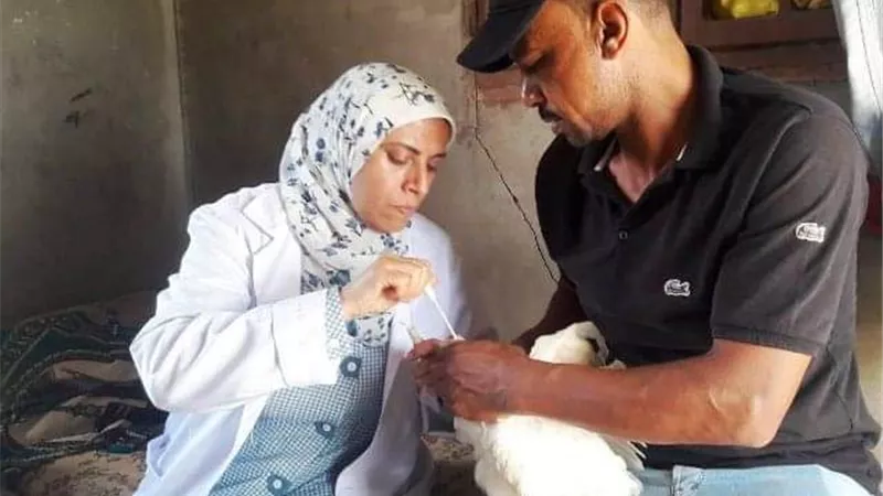 بيطري الشرقية يُحصن 115ألفا و590 طائرا ضد الأنفلونزا والأمراض
