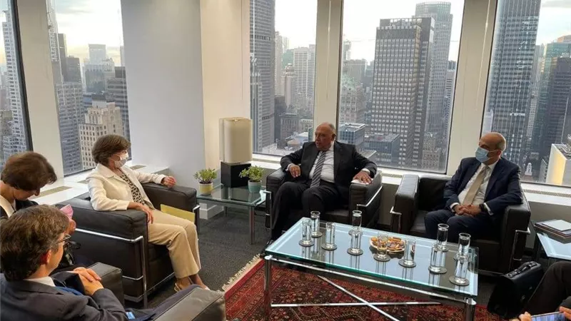 سامح شكري يجرى مباحثات مع وزيرة خارجية فرنسا